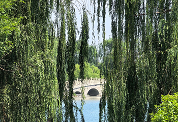 晋祠博物馆第 220 张图片