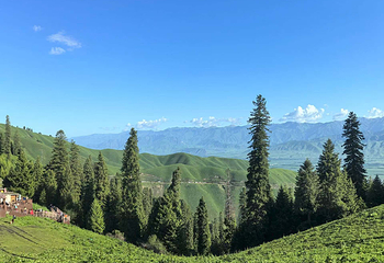 那拉提旅游风景区第 66 张图片