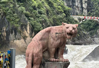 虎跳峡(香格里拉段)第 163 张图片