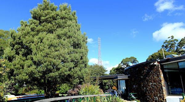 Mount Dandenong
