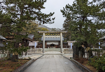 笼神社第 16 张图片