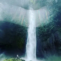 Cinchona Waterfall Trails