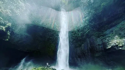 Cinchona Waterfall Trails第 1 张图片