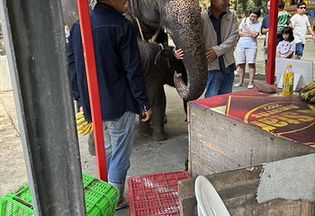东芭乐园第 56 张图片