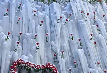哈尔滨冰雪大世界第 608 张图片
