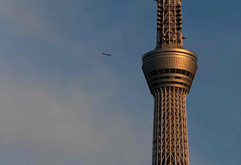 东京晴空塔第 78 张图片