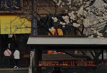 大兴善寺第 57 张图片
