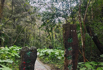 桂林古东景区第 32 张图片