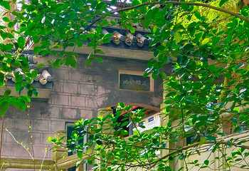 老君山第 20 张图片