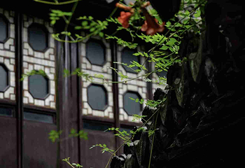拙政园第 256 张图片