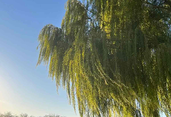 汉城湖景区第 123 张图片
