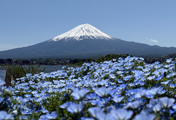 富士山第 60 张图片
