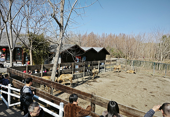 溱湖国家湿地公园第 41 张图片