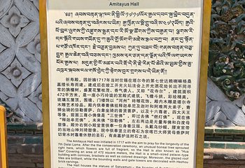 塔尔寺第 96 张图片