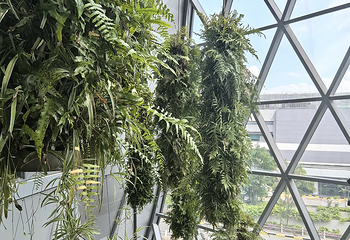 星耀樟宜第 222 张图片