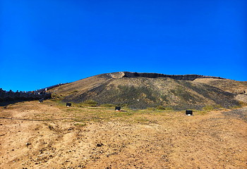 乌兰哈达火山地质公园第 66 张图片