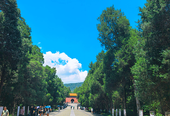 钟山风景名胜区第 73 张图片
