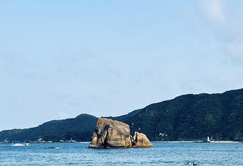 后海村第 82 张图片