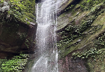 碧峰峡景区第 135 张图片