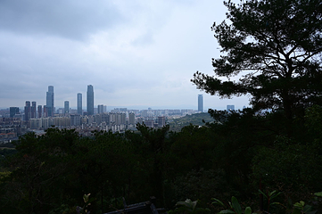青秀山第 230 张图片