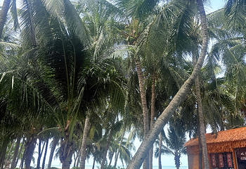 大小洞天第 175 张图片
