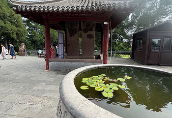 奉国寺第 66 张图片
