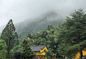 九华山风景区第 109 张图片