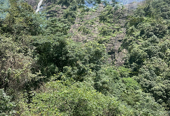 大鄣山卧龙谷第 39 张图片