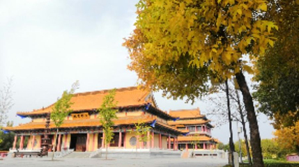 傻石林第 1 张图片