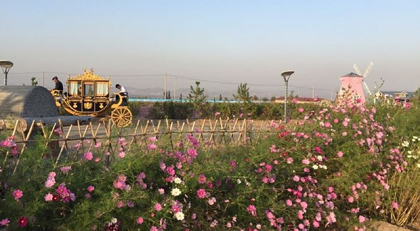 假日绿岛欢乐农场