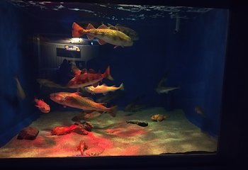 浅虫水族馆第 17 张图片