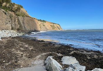 Robin Hoods Bay Beach第 8 张图片
