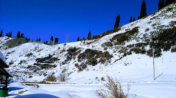 Pioneer Горный Курорт