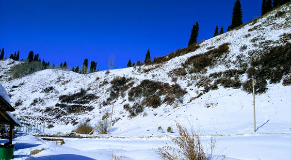 Pioneer Горный Курорт