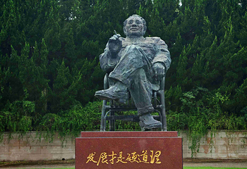 上海海湾国家森林公园第 30 张图片