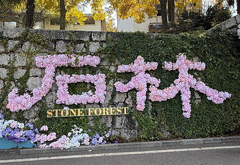 石林风景区第 165 张图片