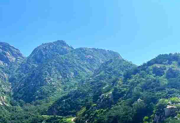 珠山国家森林公园第 14 张图片