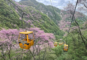 太平国家森林公园第 39 张图片
