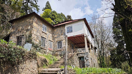 莫干山风景名胜区第 38 张图片