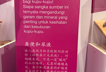 虫鸣大地第 107 张图片