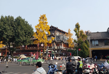 锦里古街第 96 张图片