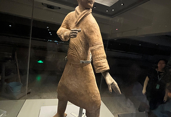 秦始皇帝陵博物院(兵马俑)第 478 张图片