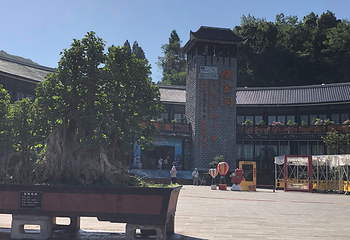 织金洞第 106 张图片