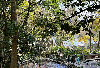 湖泉半山温泉第 27 张图片