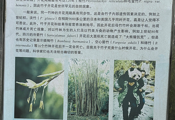 中国科学院华南国家植物园第 50 张图片