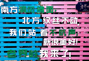 老界岭旅游度假区第 115 张图片