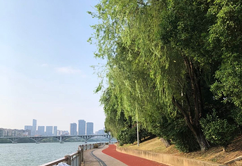 橘子洲景区第 122 张图片