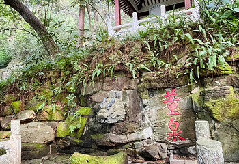 青秀山第 176 张图片
