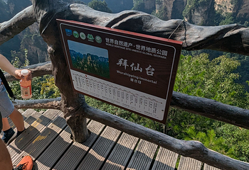 张家界国家森林公园第 364 张图片