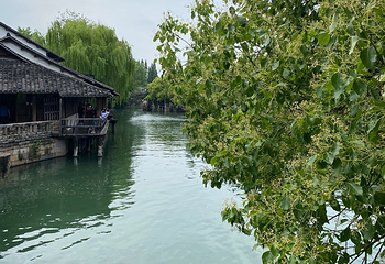 乌镇西栅景区第 127 张图片